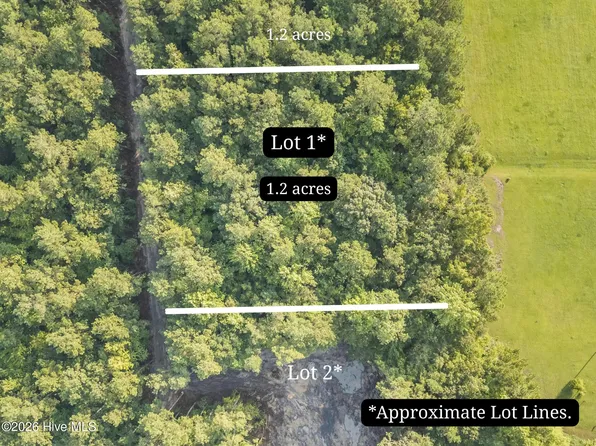 0 Us Hwy 117 N Lot 1, Willard, NC 28478