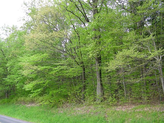 5th image of 849 County Highway 44