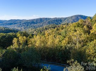 55 Bartrams Walk Dr, Asheville, NC 28804