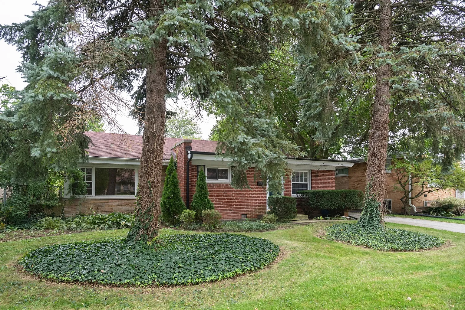 3109 Hill Ln photo 1