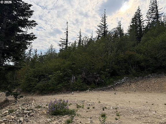 4th image of 0 Snag Mountain Rd #112
