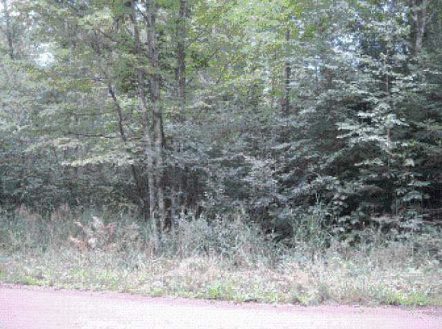 2nd image of On Tower Rd