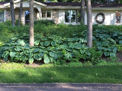 3551 Lilac Ln, Minnetonka, MN, 55345