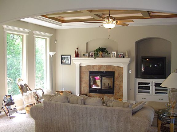 Wood burning fireplace