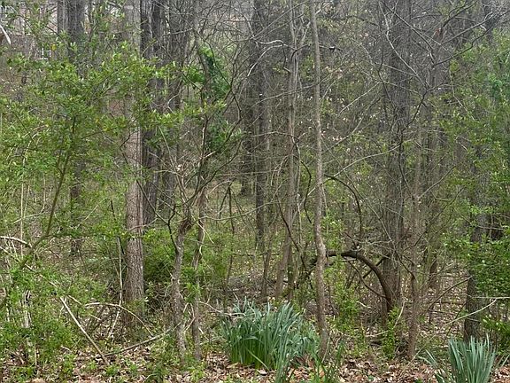 4th image of Mountain Grove Ln