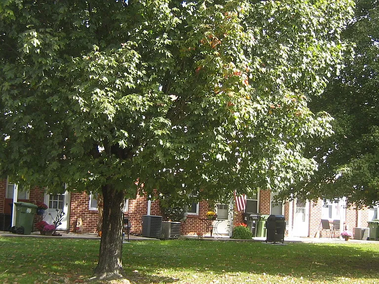 Pitman Gardens — Photo 20