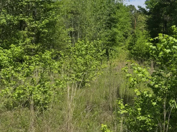 County Road 421, Tyler, TX 75704