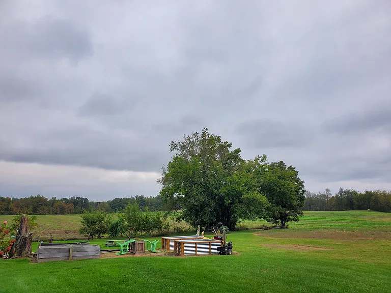 6632 Cedar Creek Rd — Photo 4