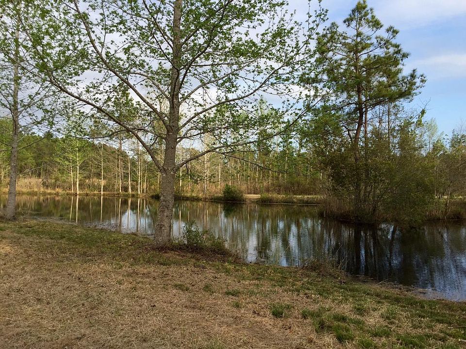 Oak Pond