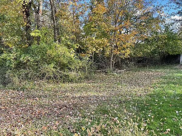 2nd image of 0 Elfin Ct NE