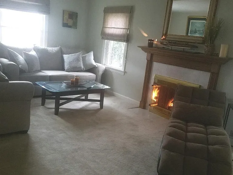 Gas fireplace