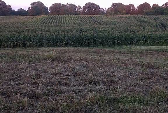 2nd image of 8105 Highway 412 W