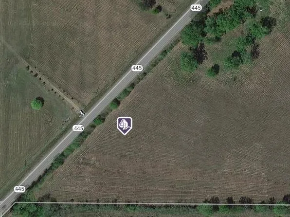TRACT 2R B Hwy #445, Loranger, LA 70446
