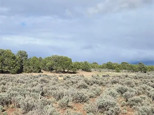 70356170 Parcel, Fort  Garland, CO 81123