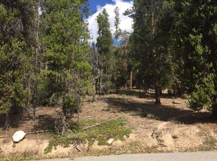 997 Ruby Ln, Leadville, CO 80461