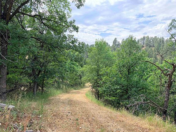 2nd image of Timberline Rd