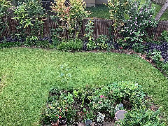 Backyard Garden