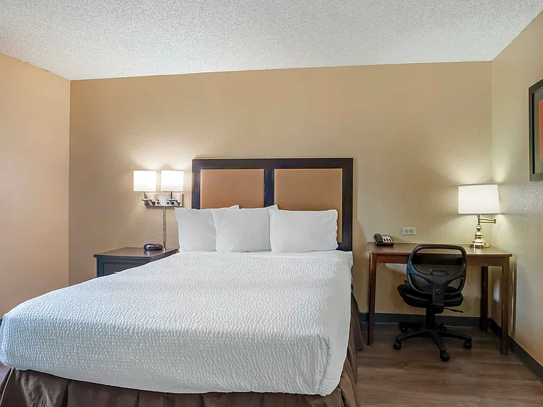 Studio Suite - 1 Queen Bed