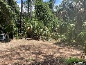 2nd image of 345 Sapp St