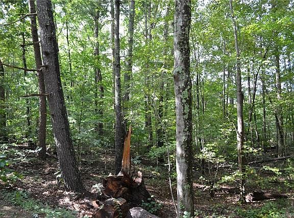 3rd image of 33 Wood Dale St