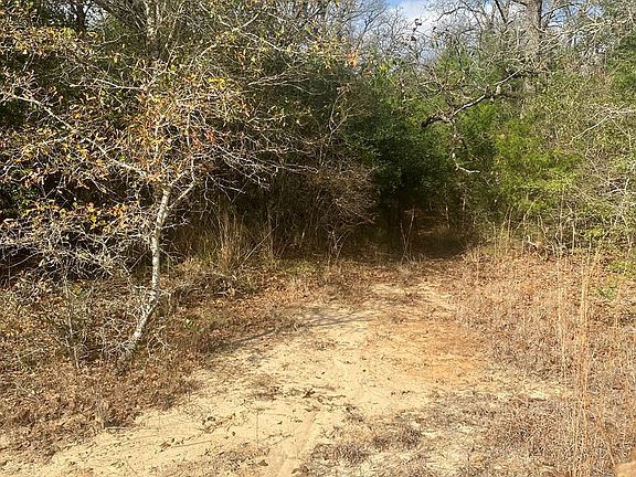 5th image of 14721 Private Road 4170