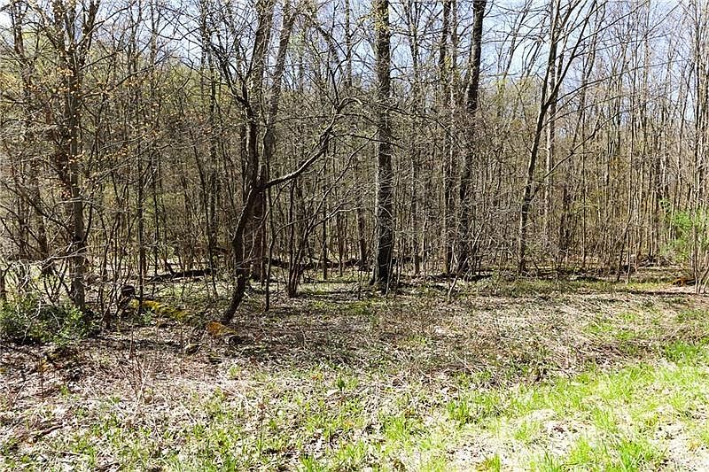 2nd image of LOT 39 Eau Claire Rd #58