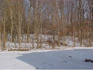 4th image of 967 E Nicholas Ln