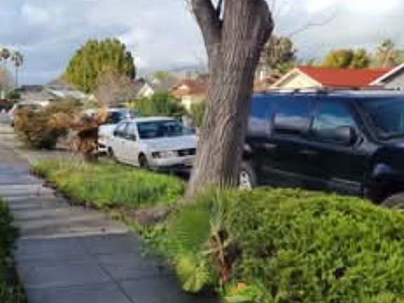2nd image of 1463 Mardan Dr
