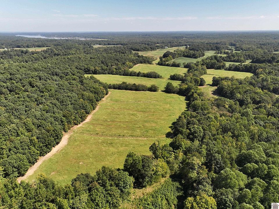 0 Brownie Rd, Dexter, KY 42036 Zillow