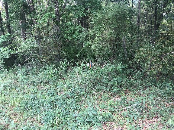 2nd image of  NE 497th St