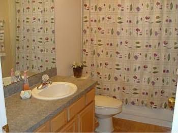 3rd image of 13135 Royal Fern Dr