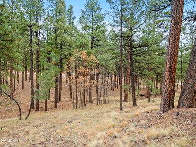 4631 N Creekside Ln #1, Flagstaff, AZ, 86001