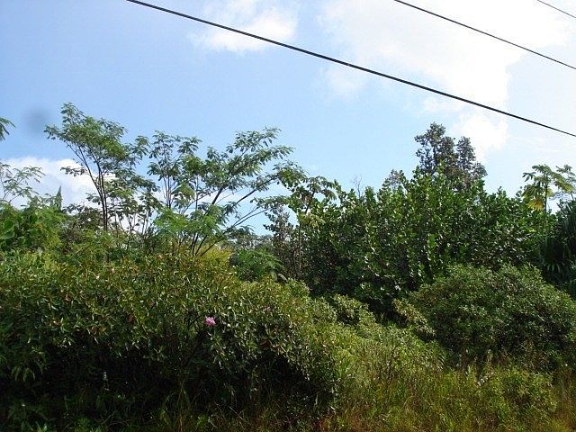 2nd image of 3rd Ave Lot 1423