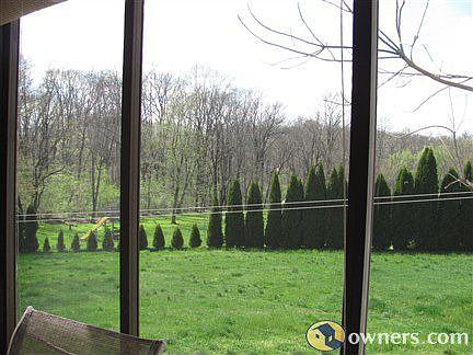 More of the backyard