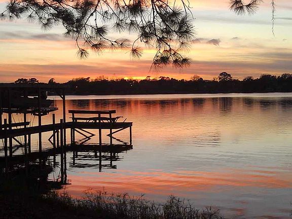 Backyard view