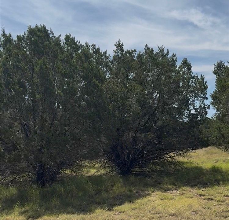 1st image of McKenzie Ln