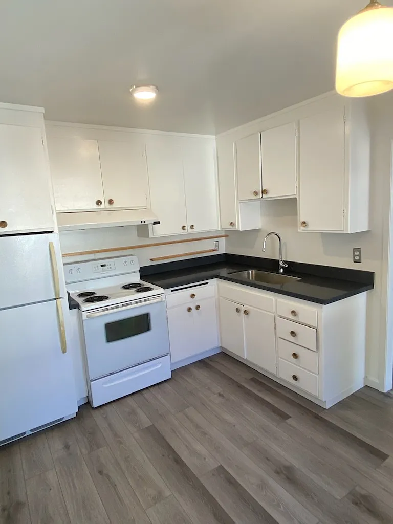 2 bed, 880 sqft, $2,400 — Photo 3