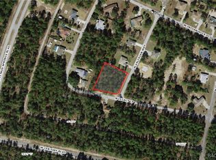 8302 N Valerian Way, Citrus Springs, FL 34433