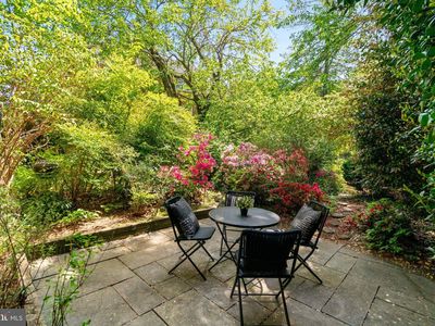 3736 Gunston Rd, Alexandria, VA, 22302