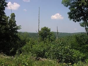2nd image of S Highway 7 S