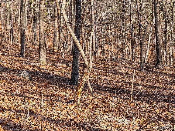 3rd image of 0 County Road 426