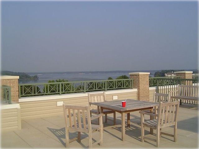 Shared Rooftop Terrace