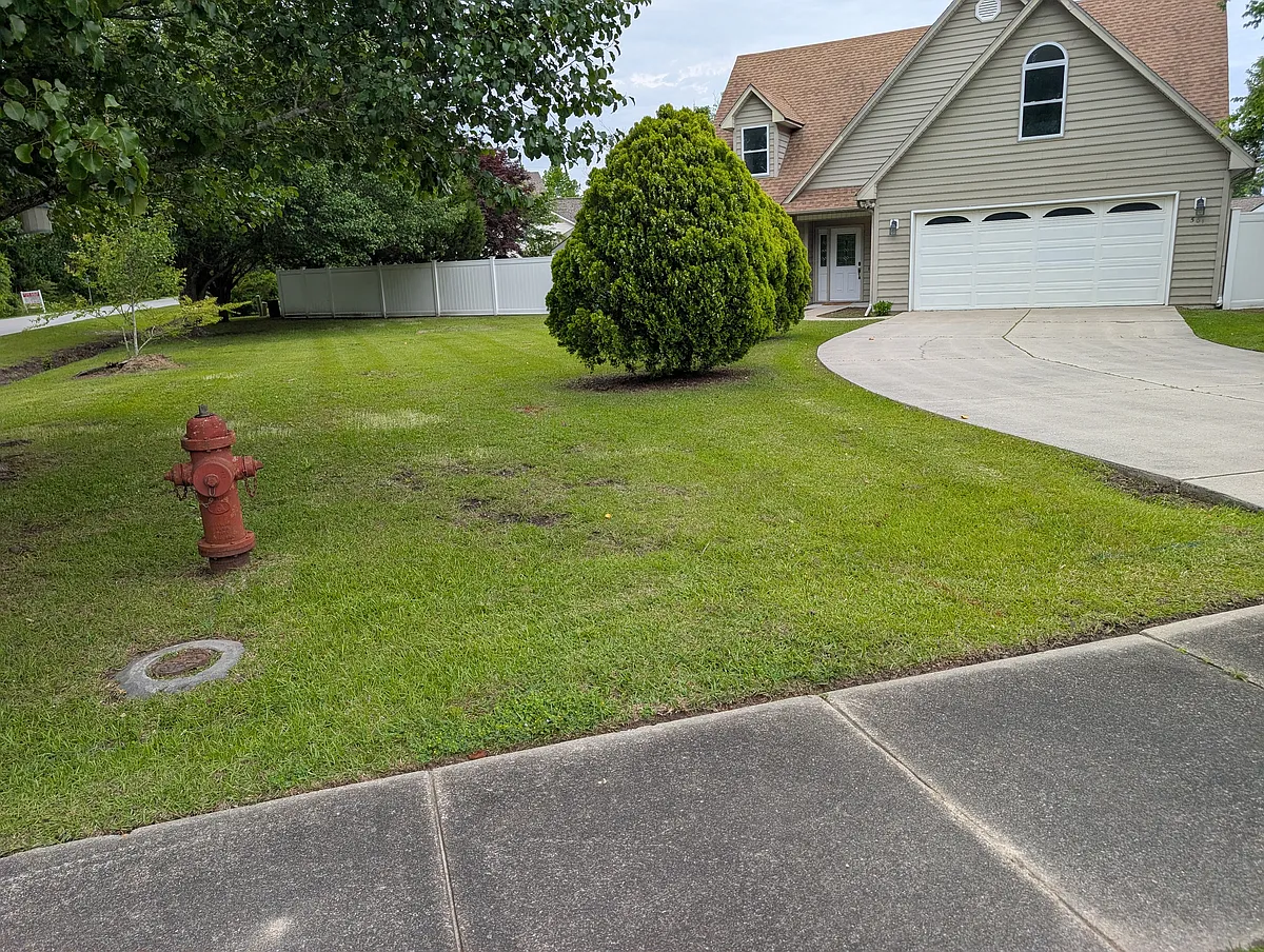 Building Photo - 501 Red Fox Ct