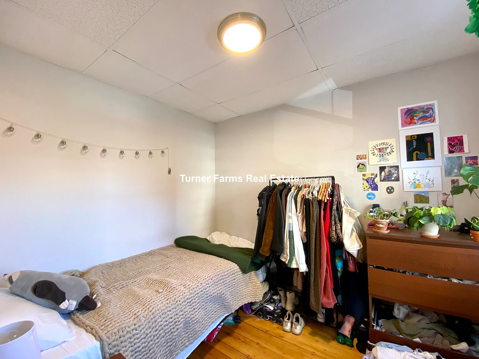3 bed, 1.5 bath, 9999 sqft, $4,200 — Photo 3