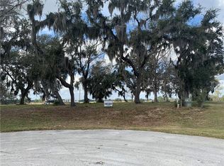 21440 Tree Park Ct, Clermont, FL 34715