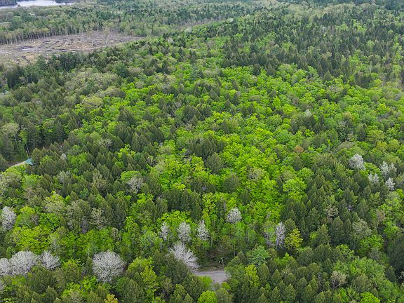 5th image of MU42 L50 Timber Bay Shores Road