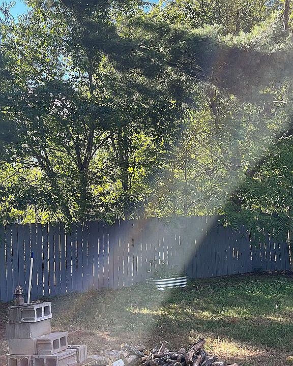 Back yard privacy fence 