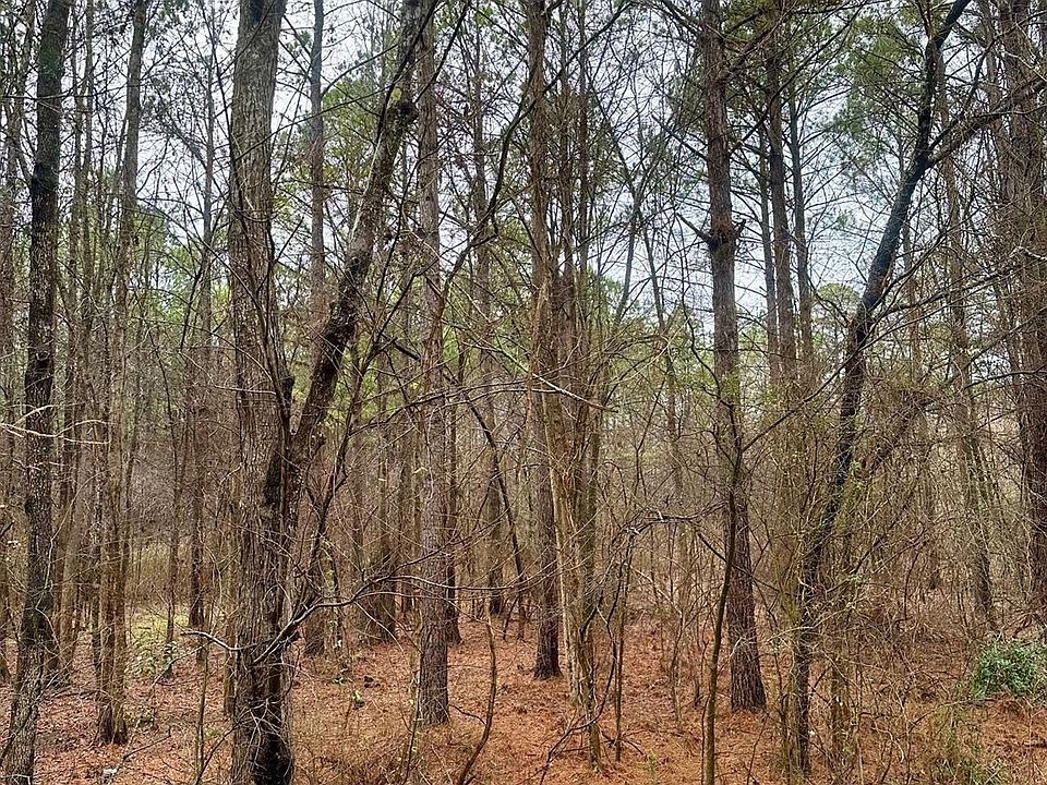 2nd image of 1176 Great Falls Hwy