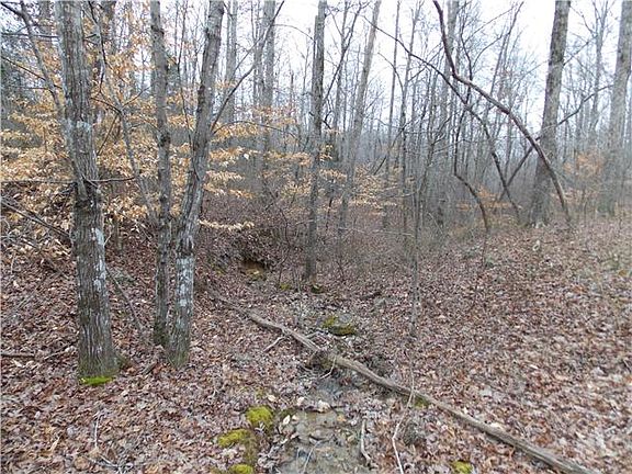 3rd image of 0 Tree Farm Rd