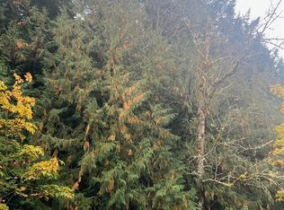 0 Us Highway 12, Randle, WA 98377